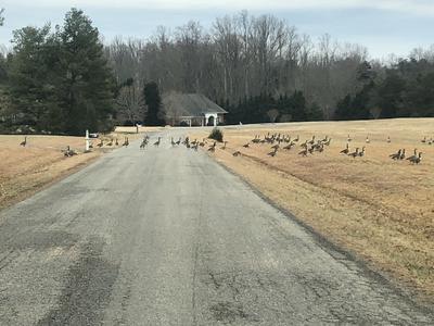 Goochland traffic jam