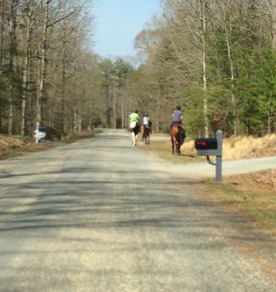 Neighborhood traffic