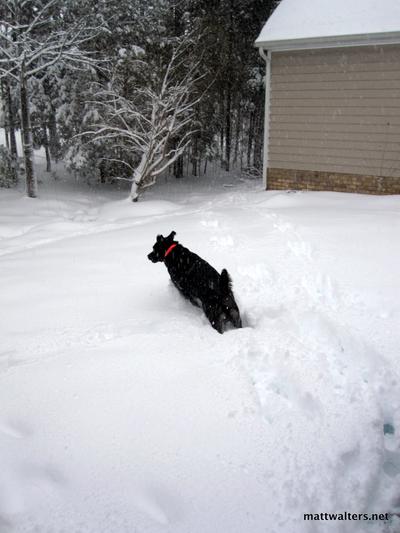 Playing in the snow