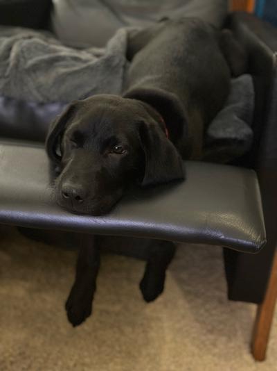 Lounging in the recliner