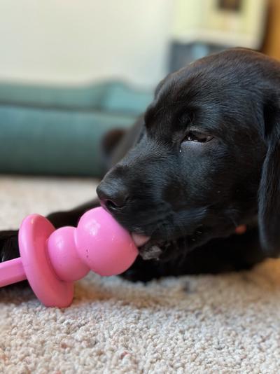 Playing with binky