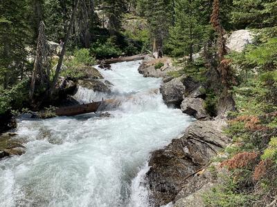 Yellowstone 2